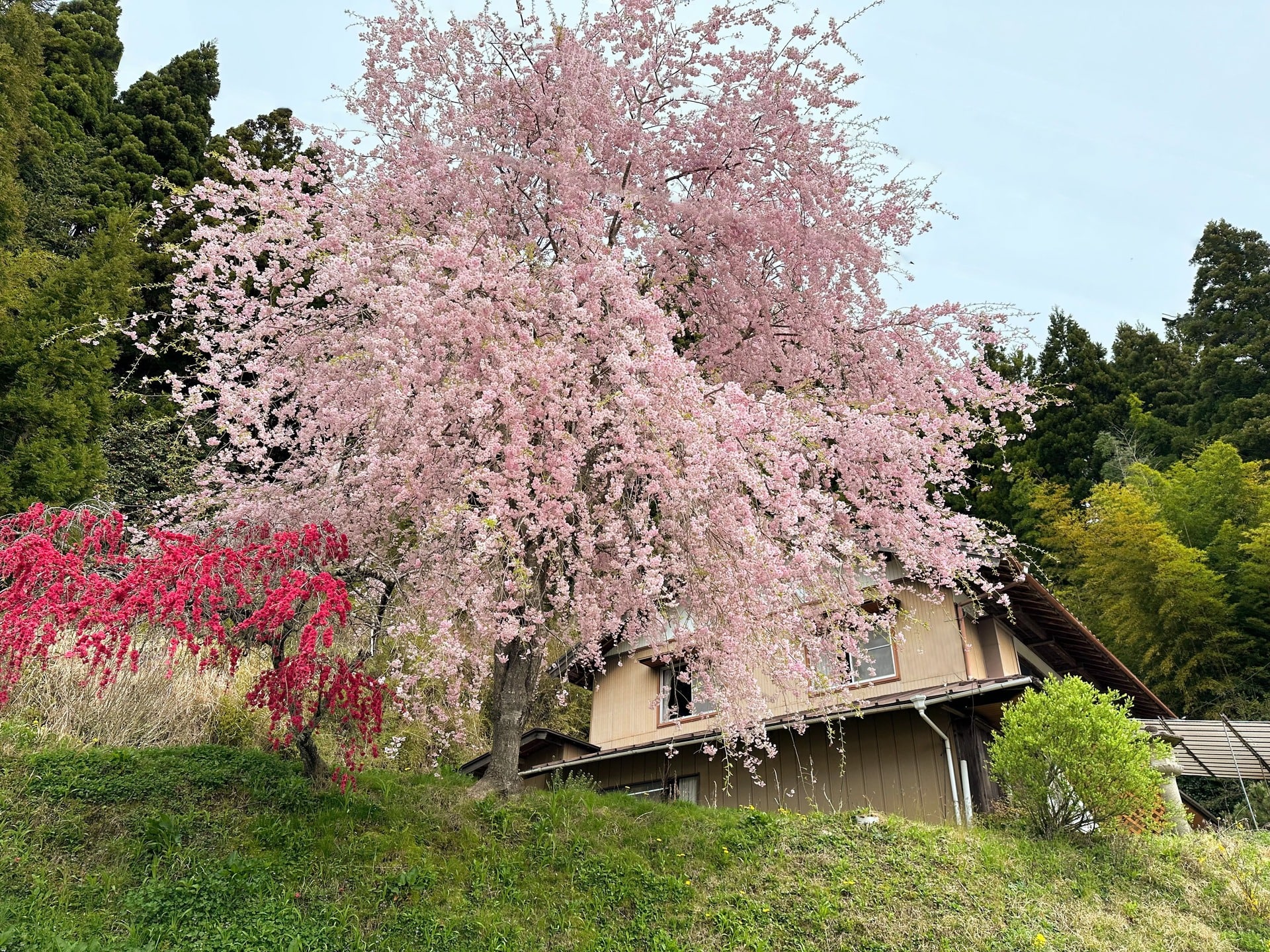 KAKOUBA